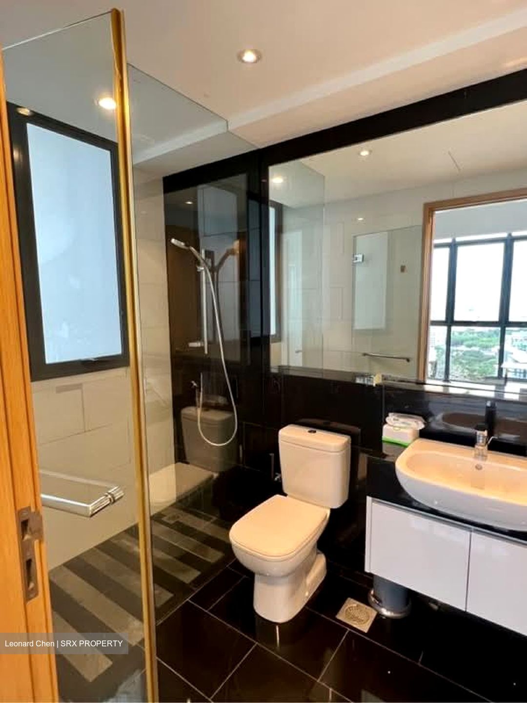 Skysuites 17 (D12), Apartment #556920201